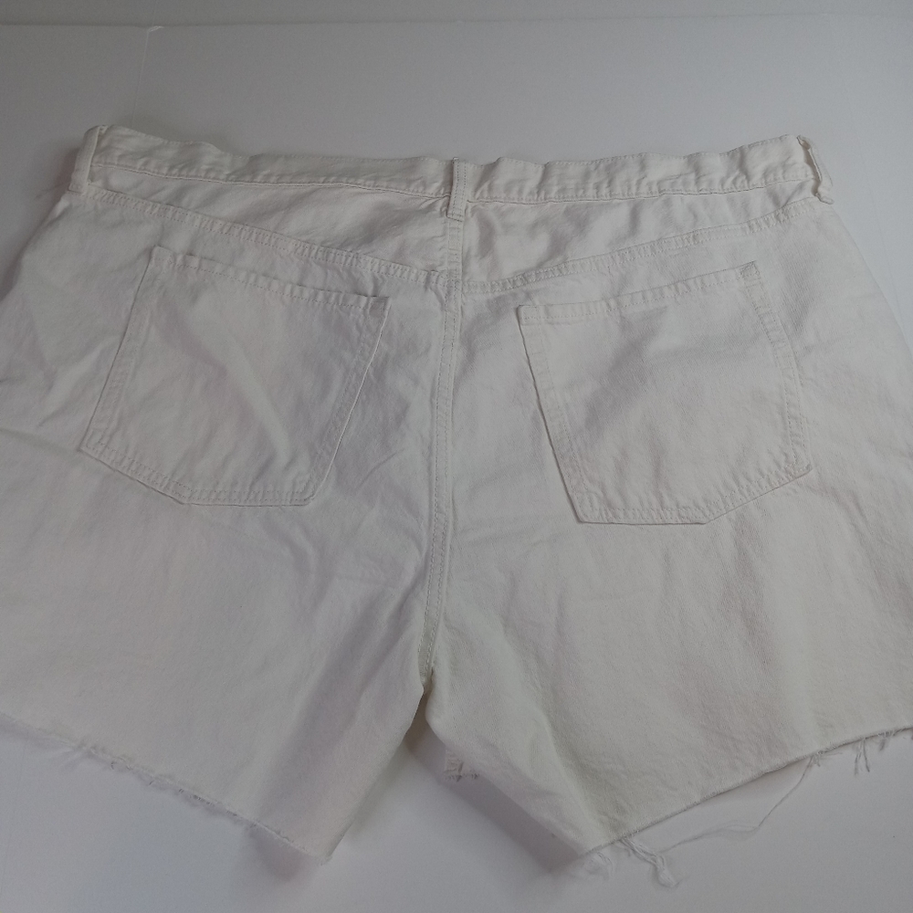 Shorts - Picture 8 of 8